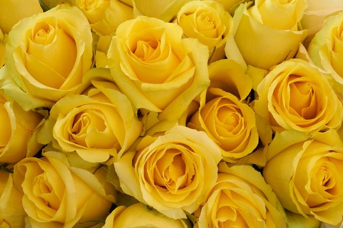 Yellow