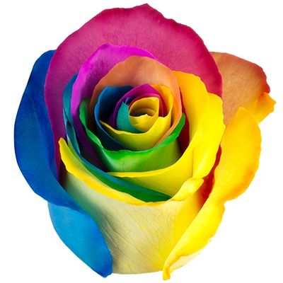 Rainbow