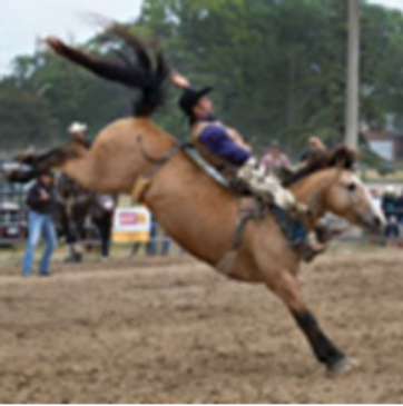 To get an idea of the strength required in bareback riding, imagine riding 
a jackhammer as if it we