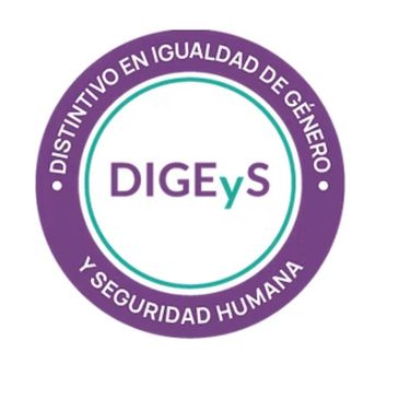 Logo for gender equality and human security.