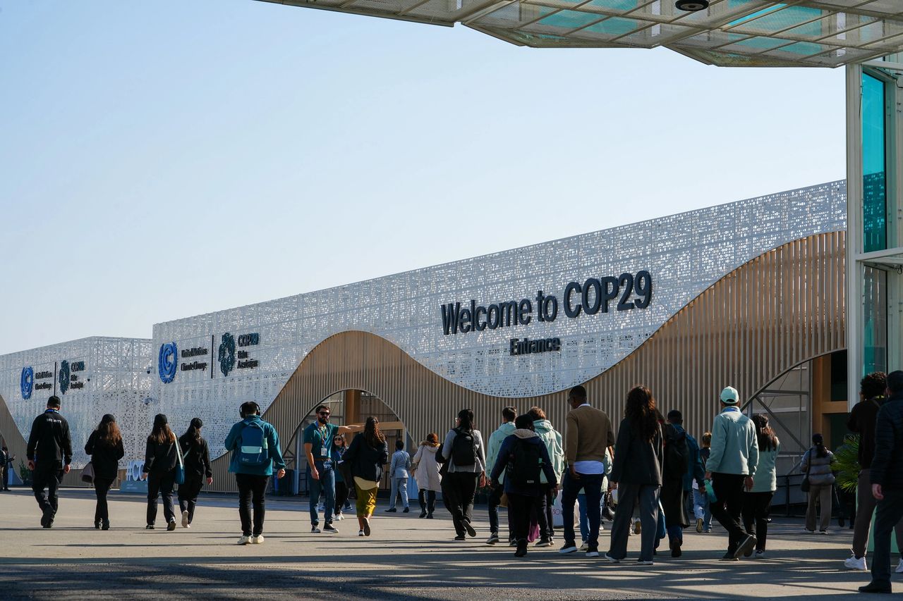 COP29, Baku. Photo 10 Billion Solutions COP29, Baku. Photo 10 Billion Solutions