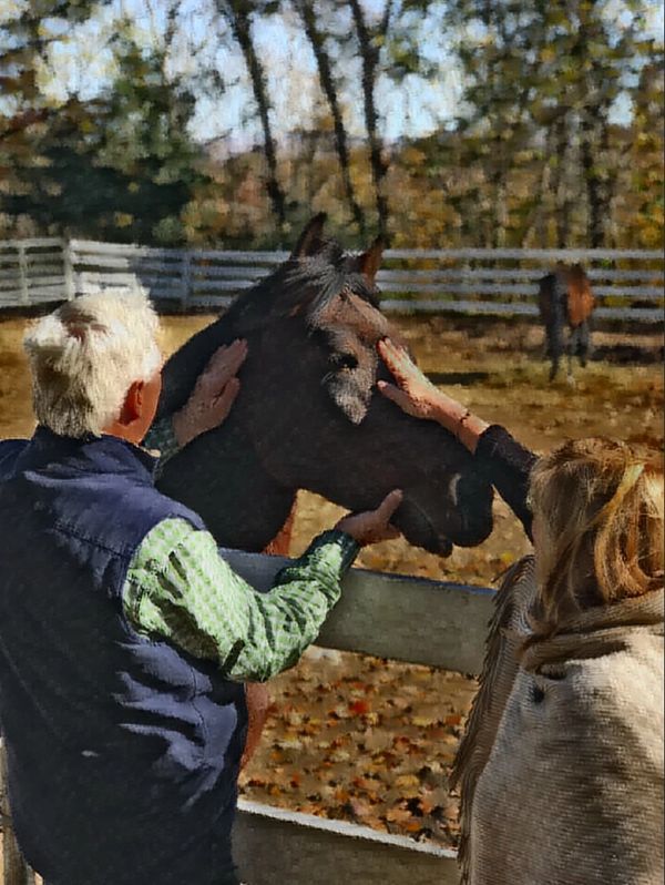 Two people petting a horse near a fence.