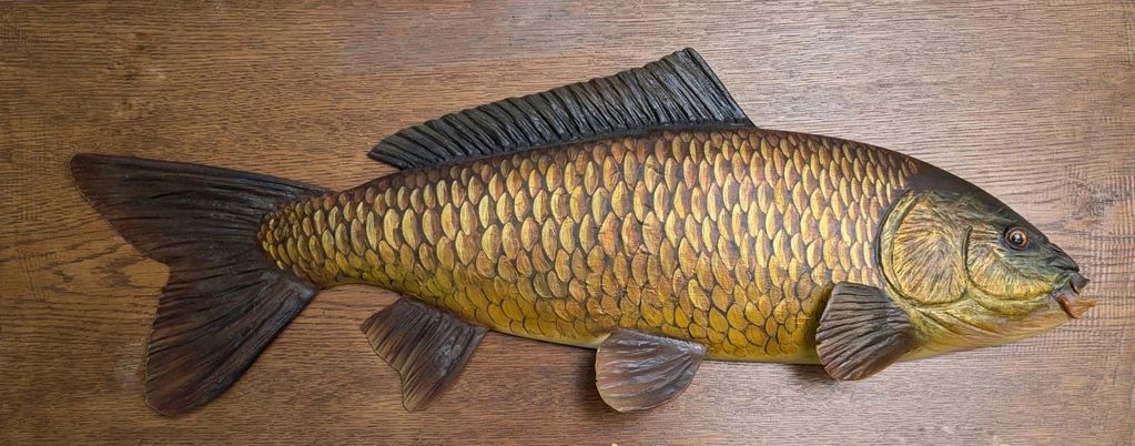 Image of  a Wild Carp wood fish carving from Marc Williams