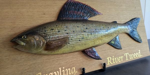 Wood carving of a grayling.
