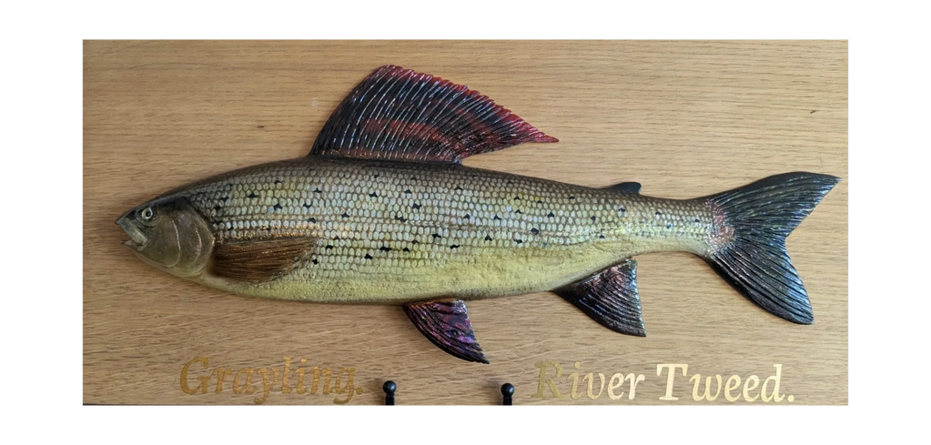 Wood carving of a grayling fish.