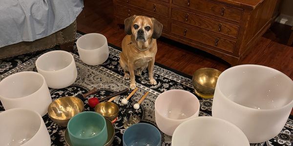 A dog sits among various singing bowls on a patterned rug in a cozy living room.