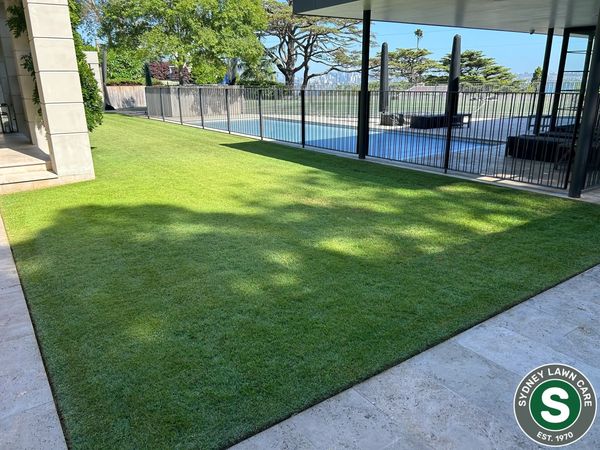 Awesome green lawn near a pool