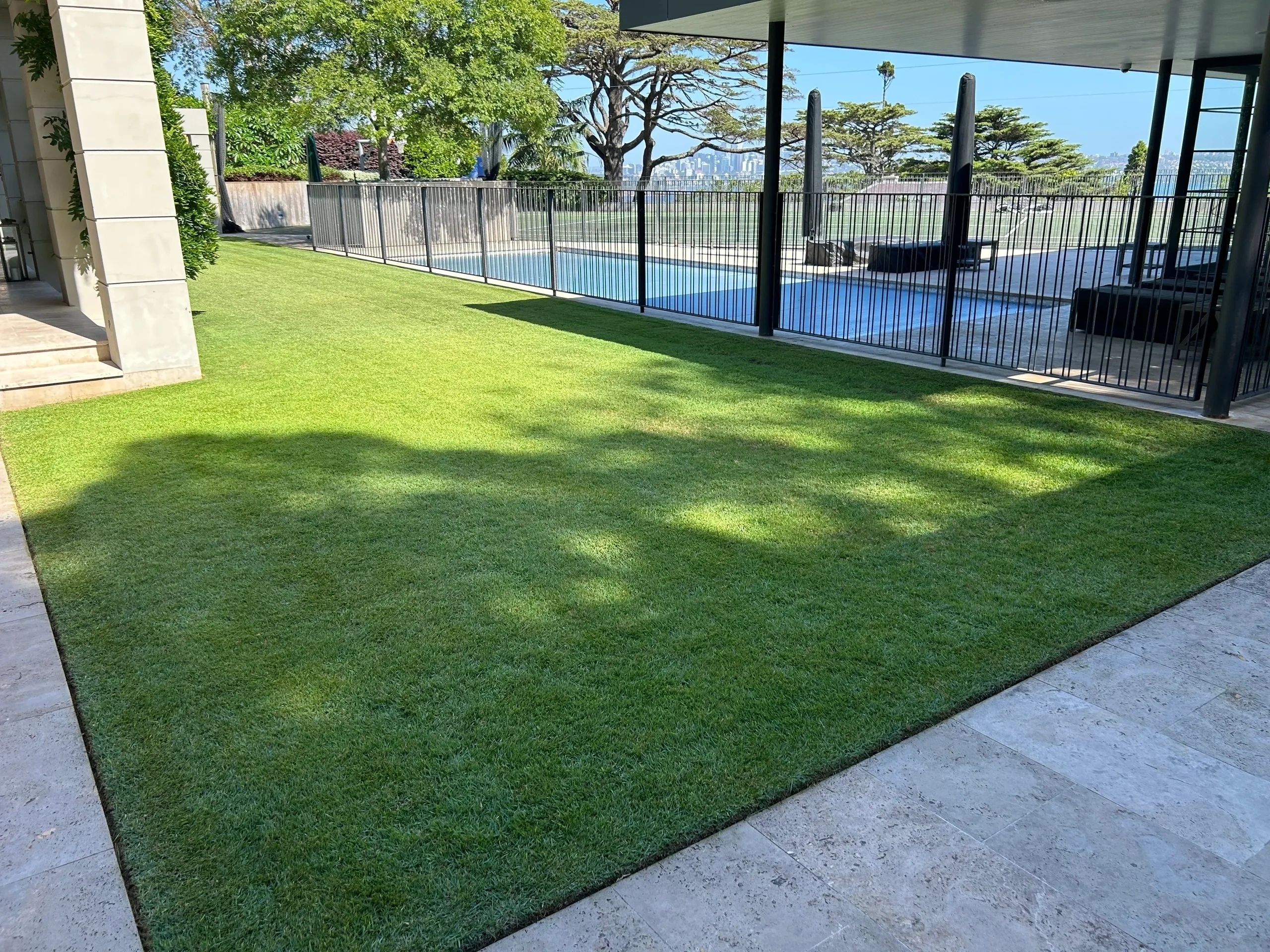 Awesome green lawn near pool in Sydney.
