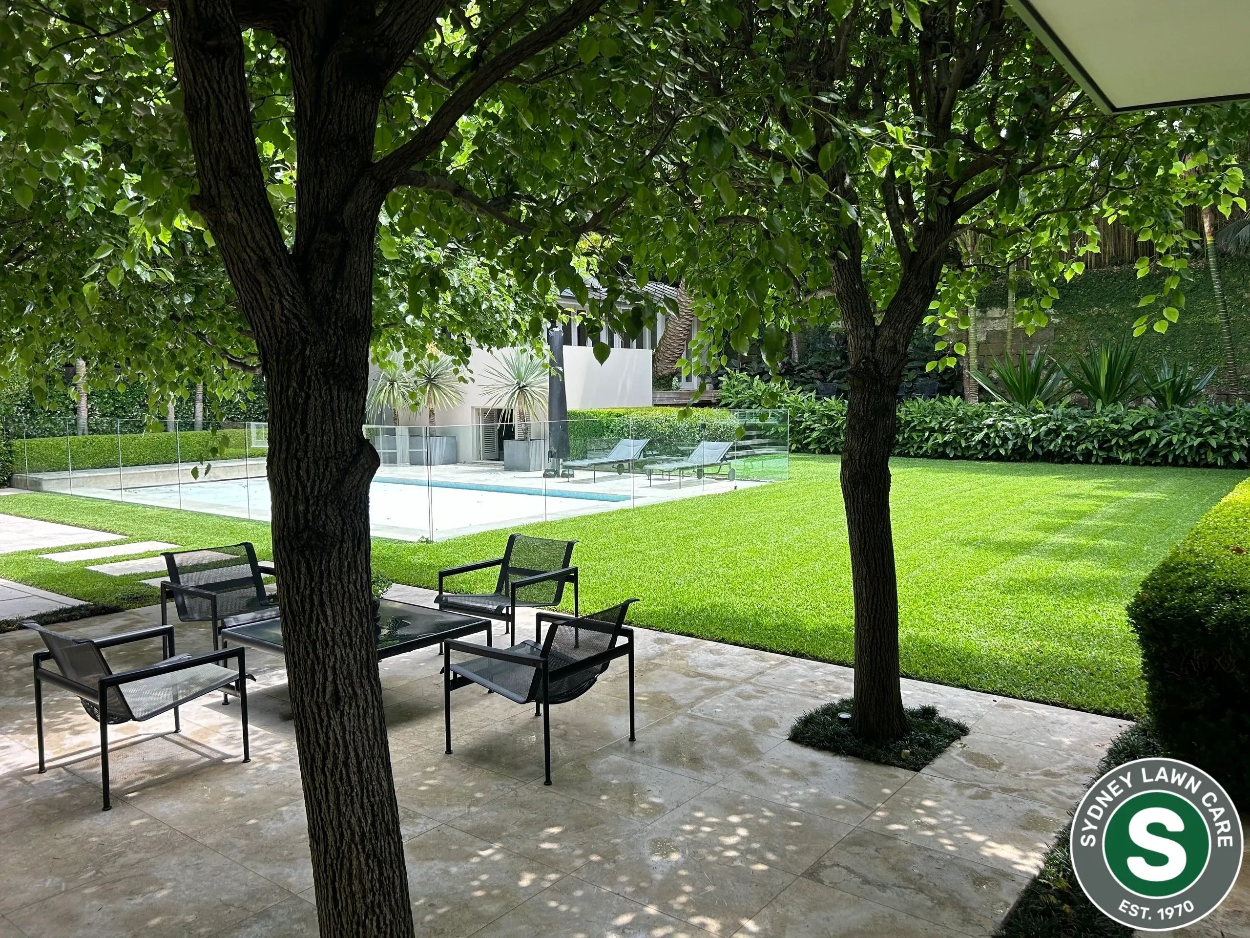 Lawn care at Sydney residential property