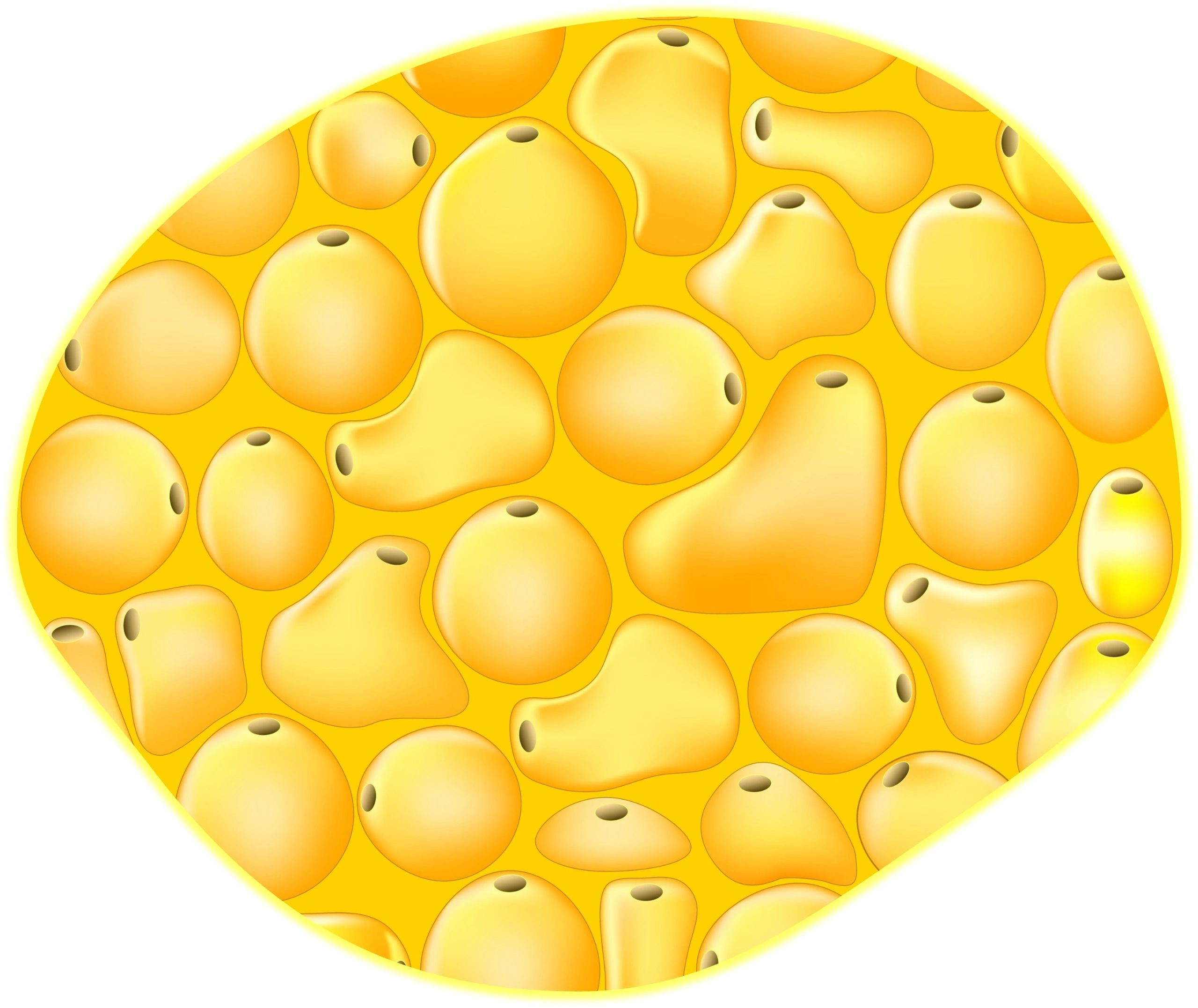 Safe and secure storage and supply of medicines | Australian Commission ...