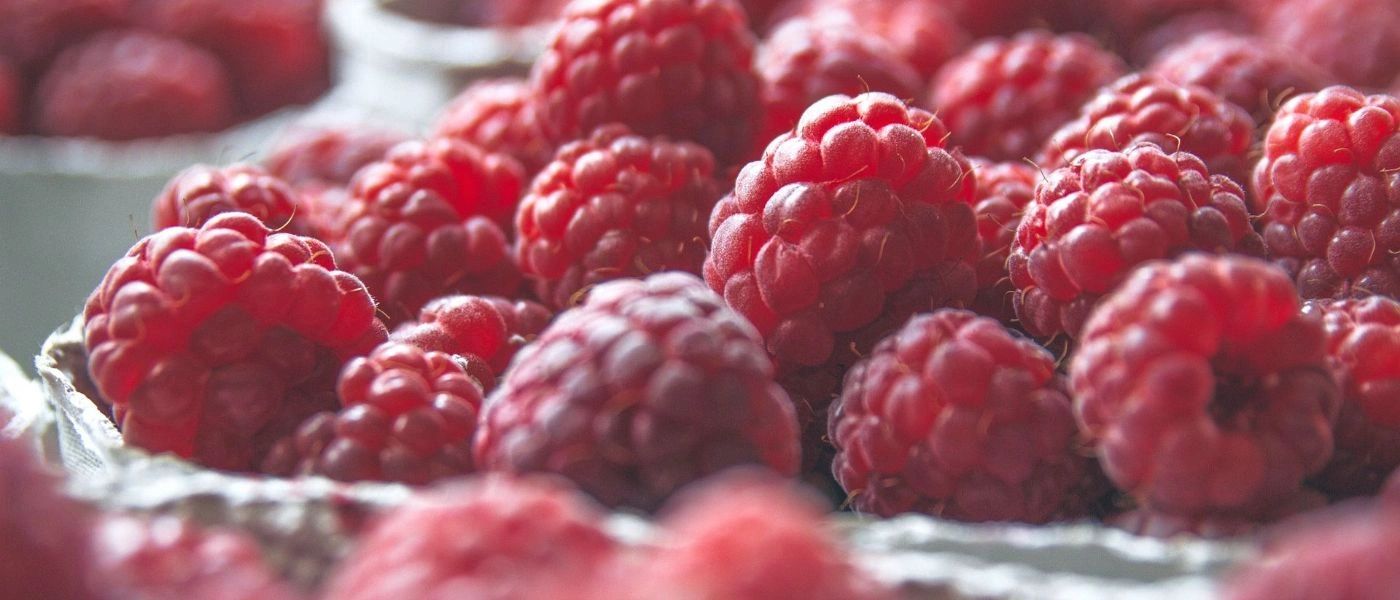 Raspberry Fields Home