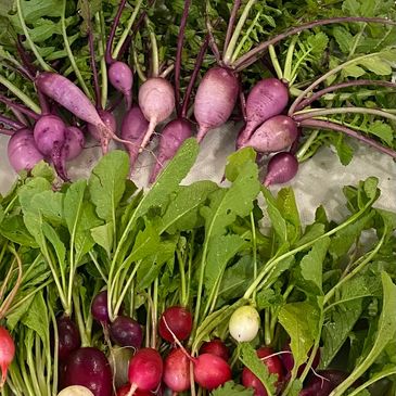 Multiple varieties of radishes with beautiful colors and amazing taste!