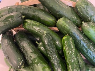 Cucumbers