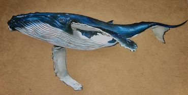 Humpback Whale Drawing
Coloured pencil on toned paper