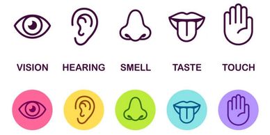 Illustration of the five senses with icons and labels.