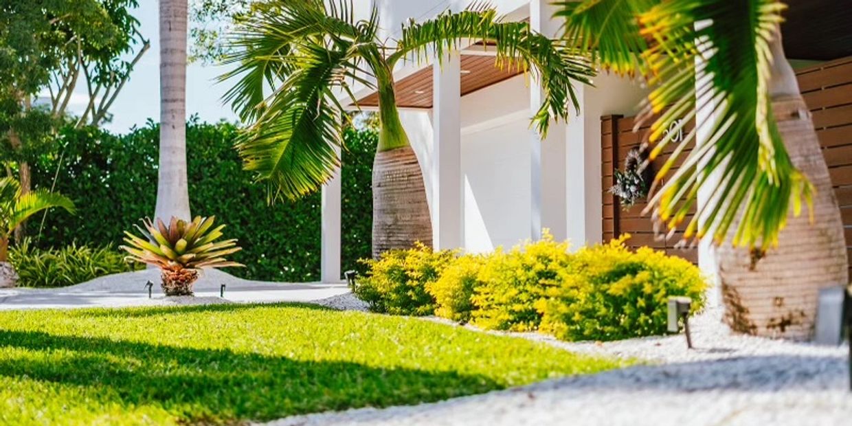 Big white house with large palms in front