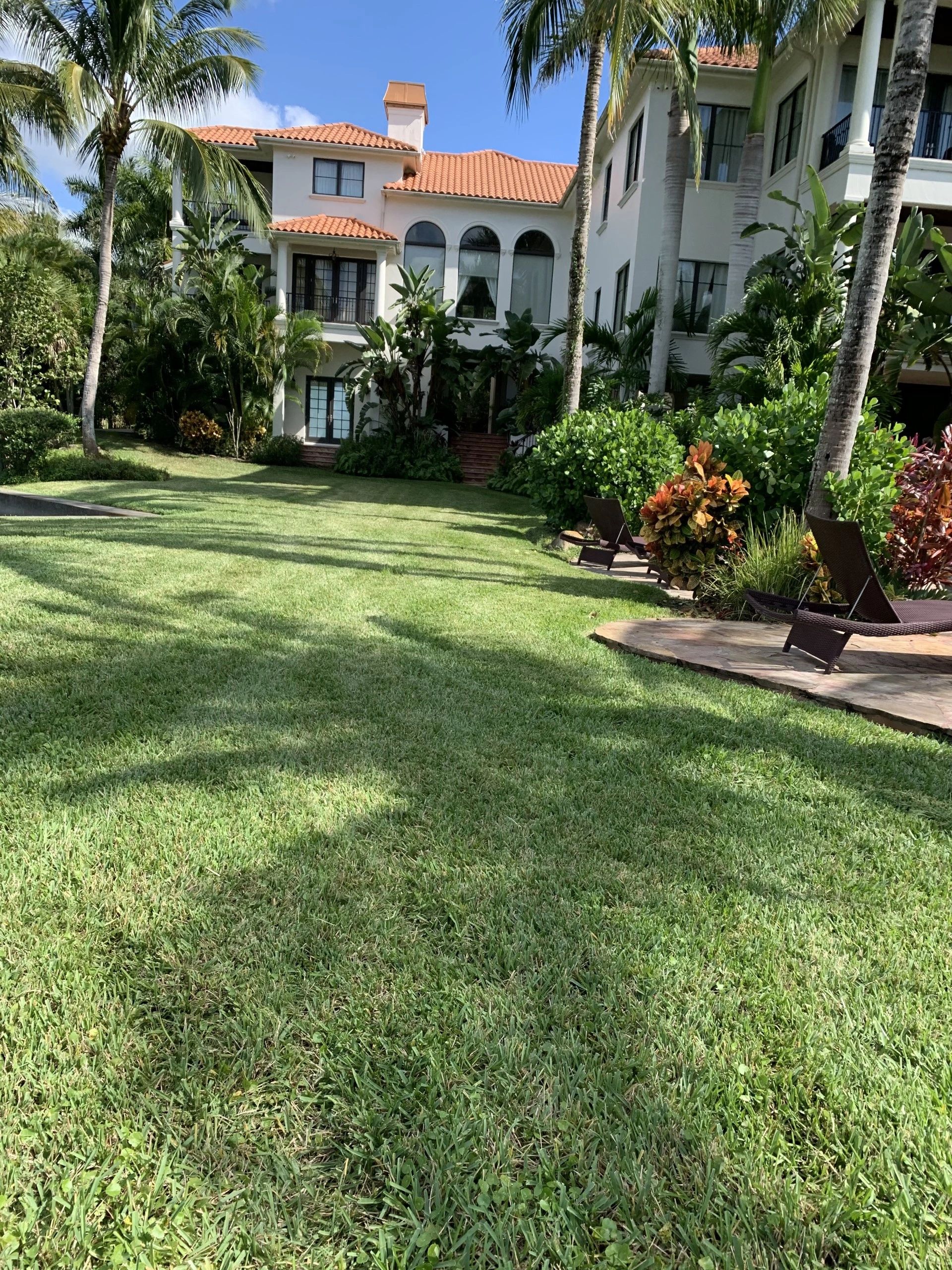 Lawn Care - Royal Roots