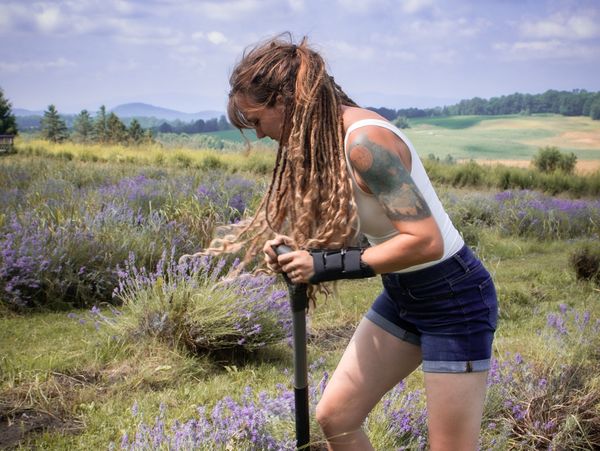 Woman with dreadlocks digging in a lavender field under a blue sky.