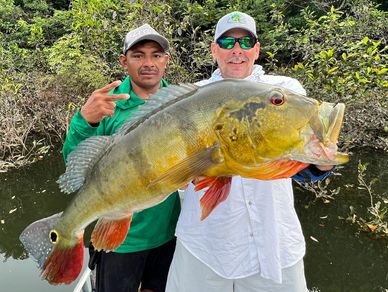 Peacock Bass Fishing Florida - Captain Justin Nguyen