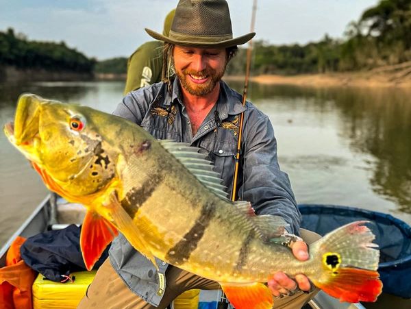 Amazon Peacock Bass Fishing - Amazon Peacock Bass Fishing Amazon Peacock Bass Fishing - Amazon Peacock Bass Fishing