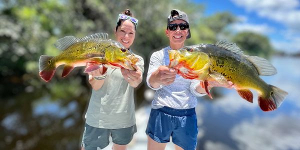 Peacock Bass Fishing Trip in Boynton Beach