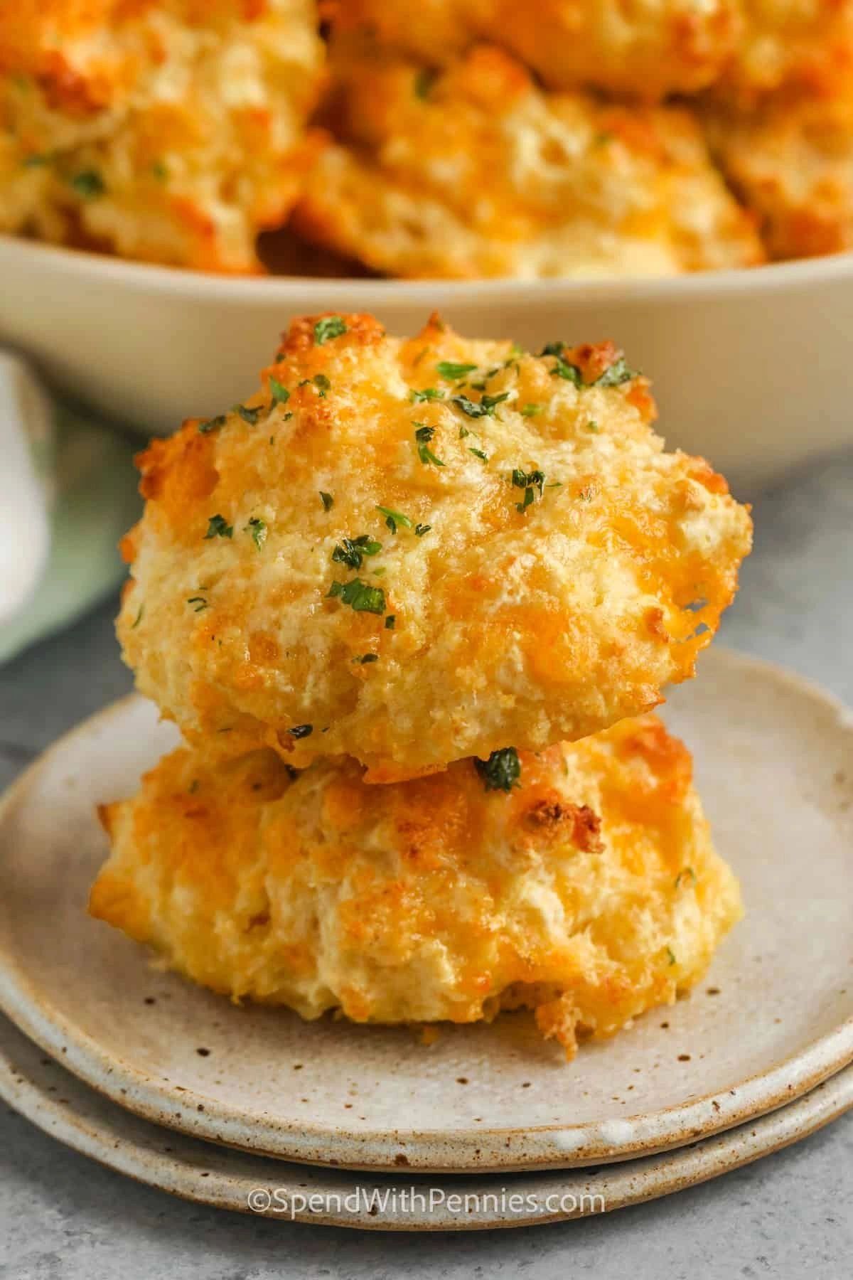 Lobster Biscuit