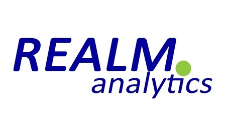 REALM Analytics