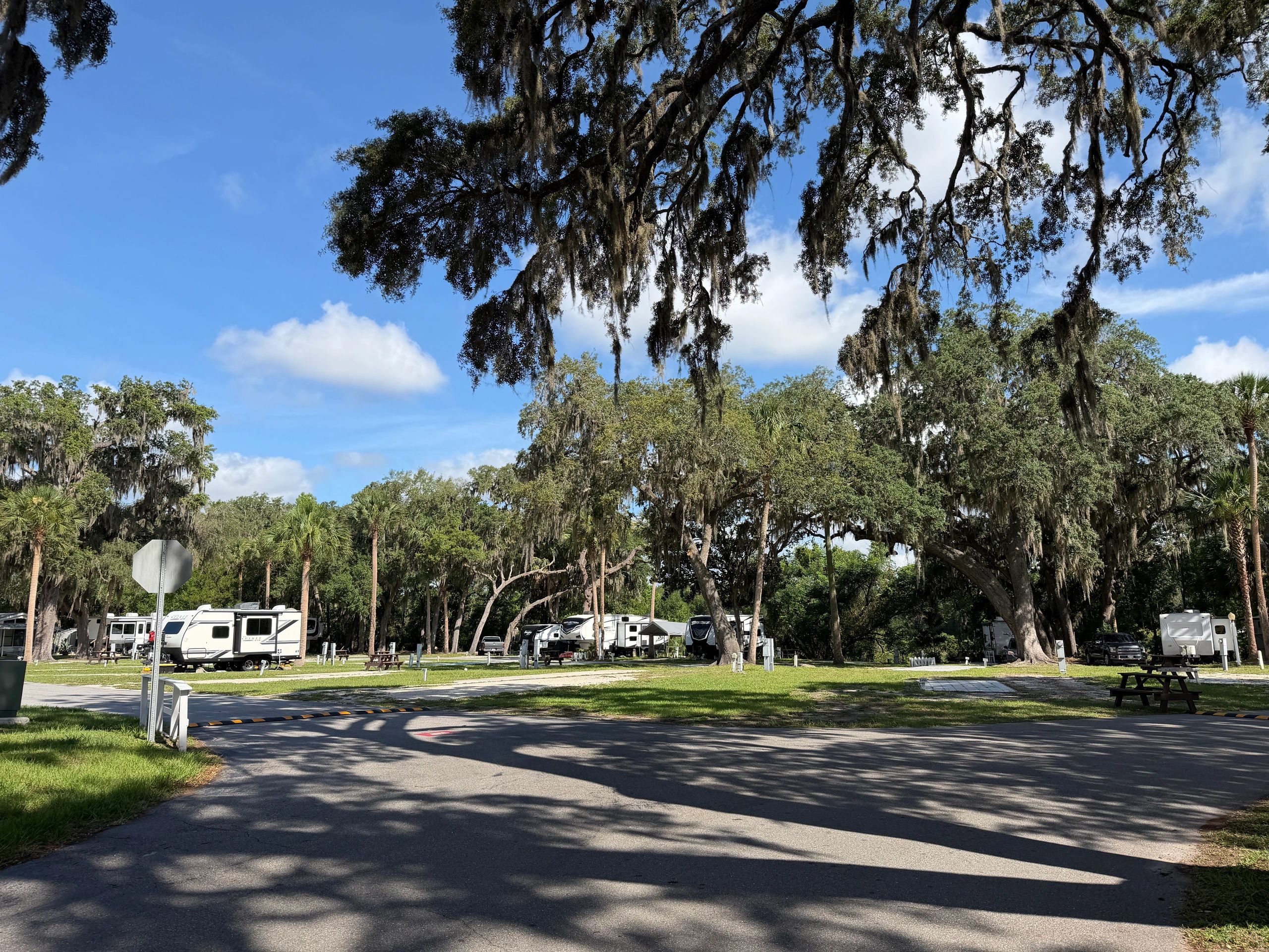 Twelve Oaks RV Resort featured image