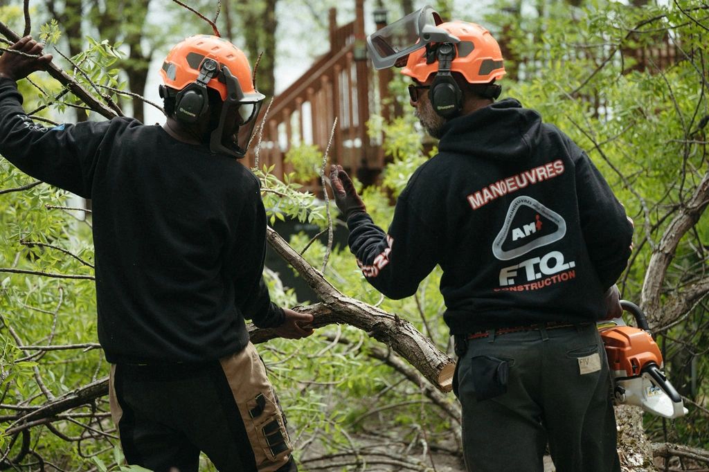 Deux hommes coupant des branches avec une tronçonneuse en forêt.