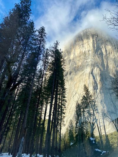 (Yosemite Valley, Winter 2023)