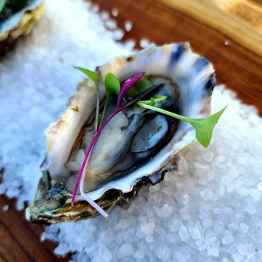 Oyster Bar Experience