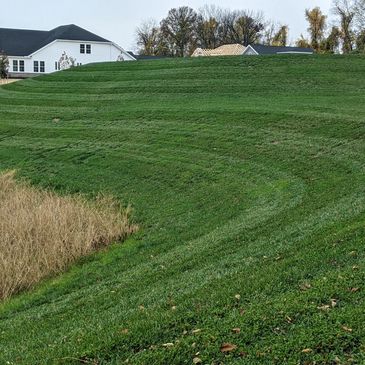 Clean strips on a steep curvy bank 
