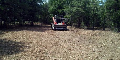 Forestry Mulching for North Texas.