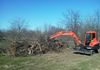 Small tree clearing in Celina, Texas.