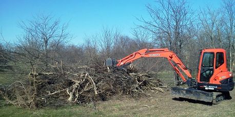 Tree mesquite and cedar removal using an excavator in Montague, Texas.