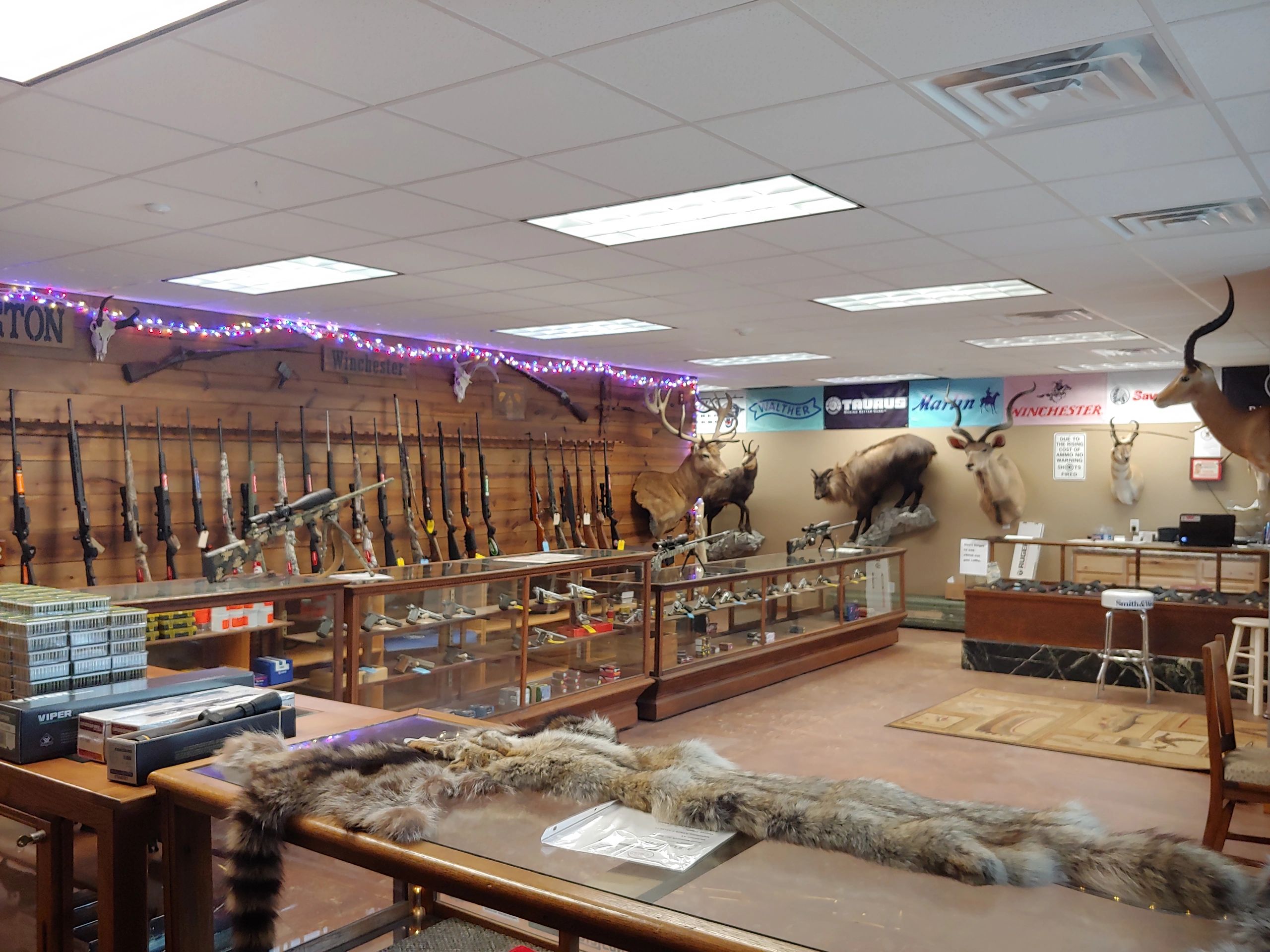 Gun Shows Toledo Ohio - ul8rqqz