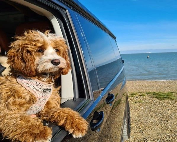 Embark on Your Dream European Journey with Auto Europe Car Rental: Your Gateway to Unforgettable Experiences () Embark on Your Dream European Journey with Auto Europe Car Rental: Your Gateway to Unforgettable Experiences