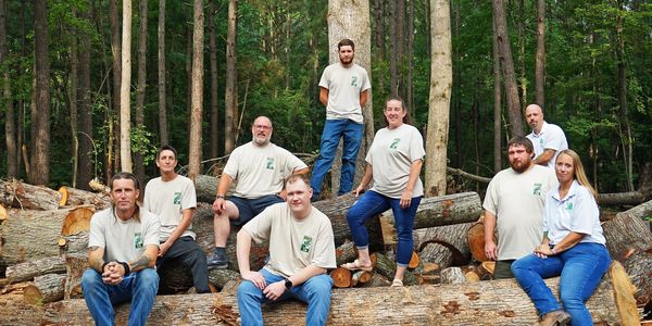 Group of people posing on cut tree logs in a forest.