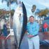 Jerry Brown Industries
Tackle Direct
Melton Tackle
Best Braided Line
Spectra