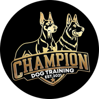 Champion Dog Training