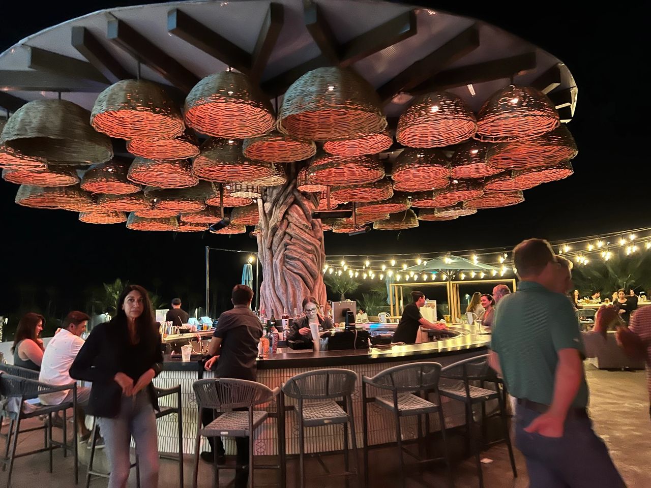 A shot of the treehouse bar at night