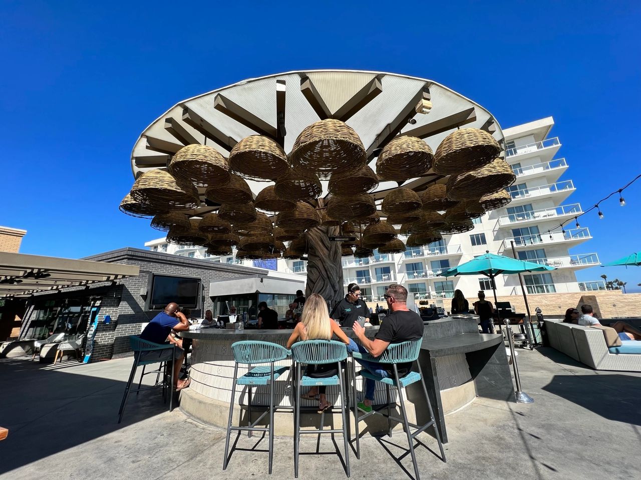 The treehouse bar during the daytime