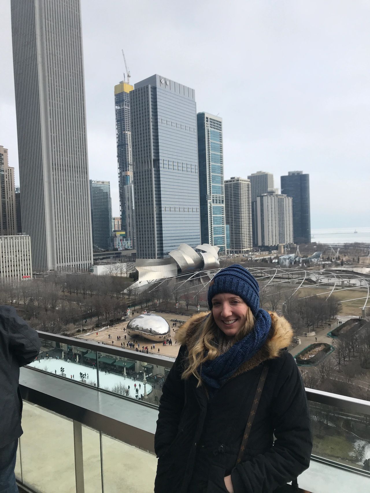 A view of Millennium Park from the rooftop