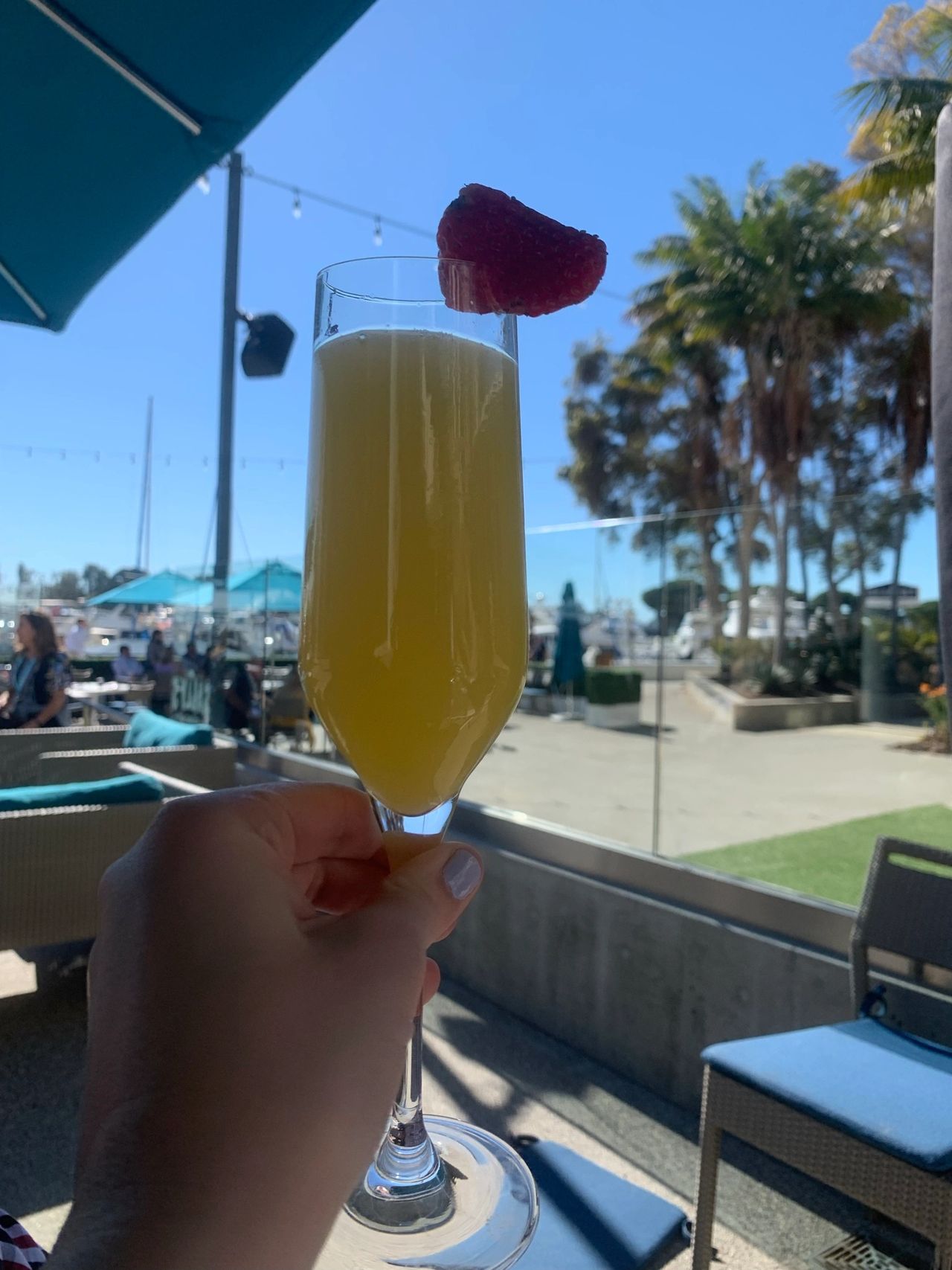 A mimosa on the patio of Sally's
