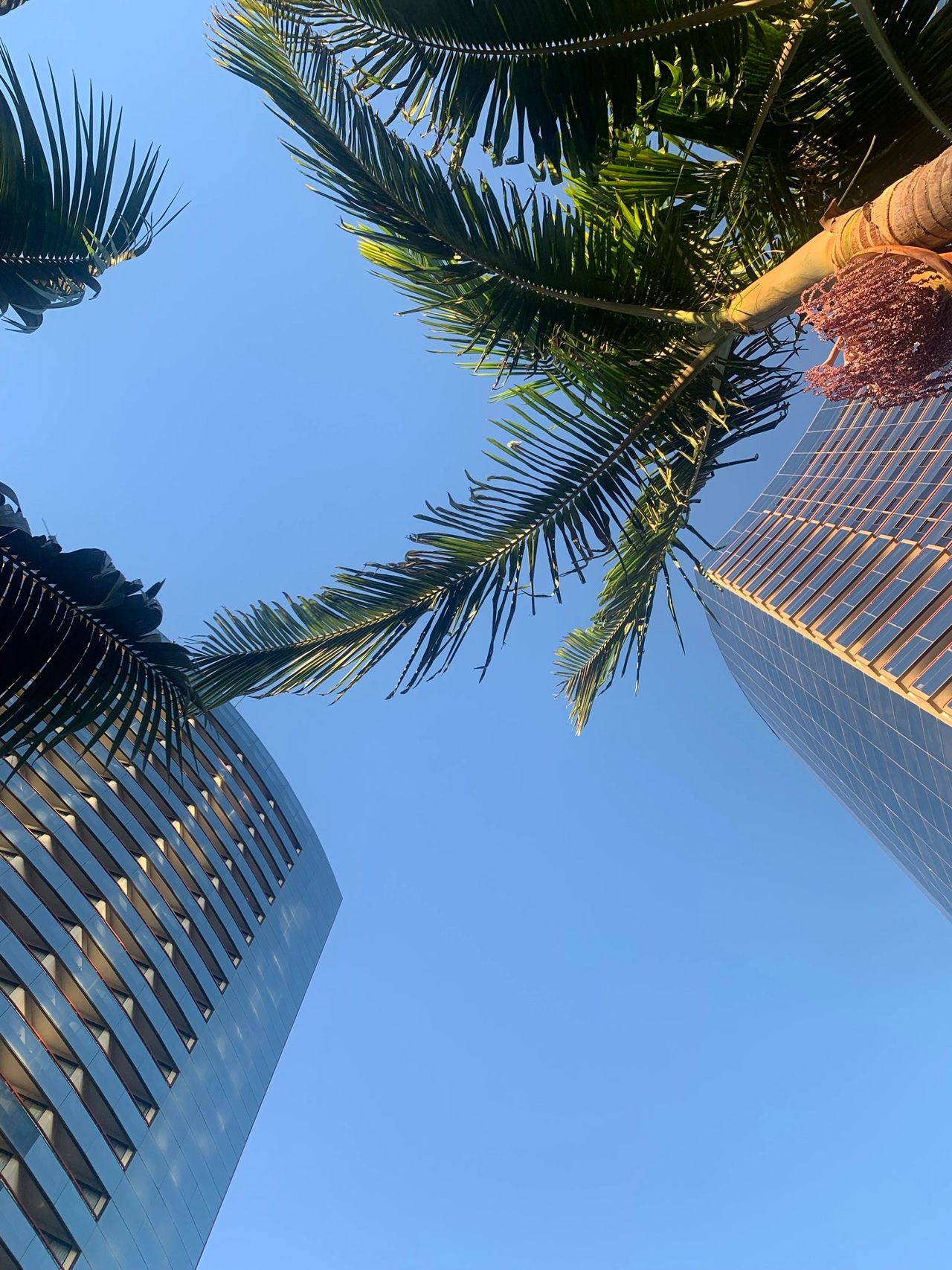 The two towers at Marriott Marquis San Diego Marina