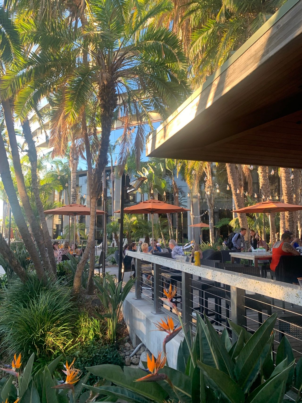 The oasis that is Tequila Bar and Grille at Marquis Marriott San Diego Marina
