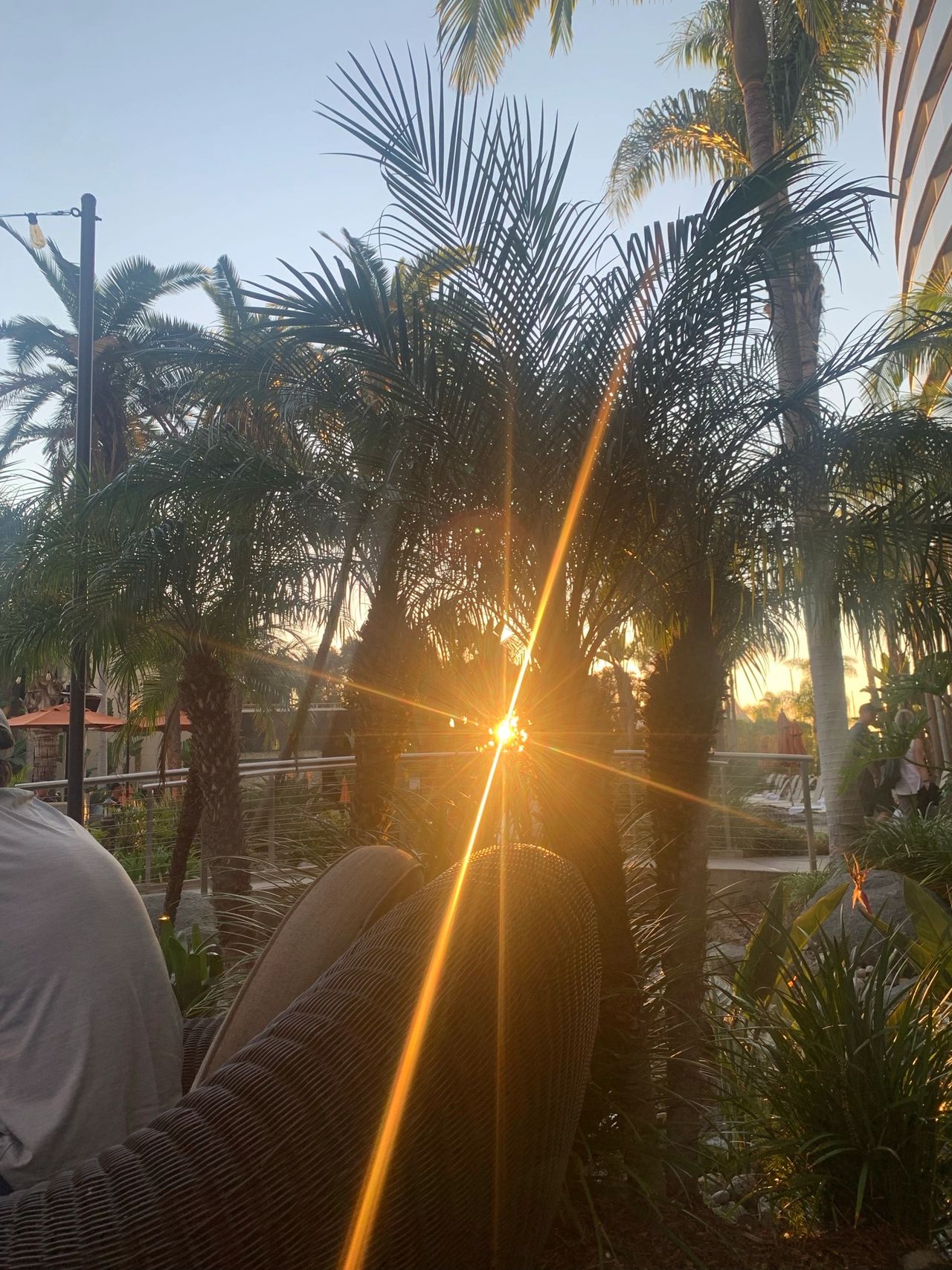 Sunset at the Marriott Marquis San Diego Marina