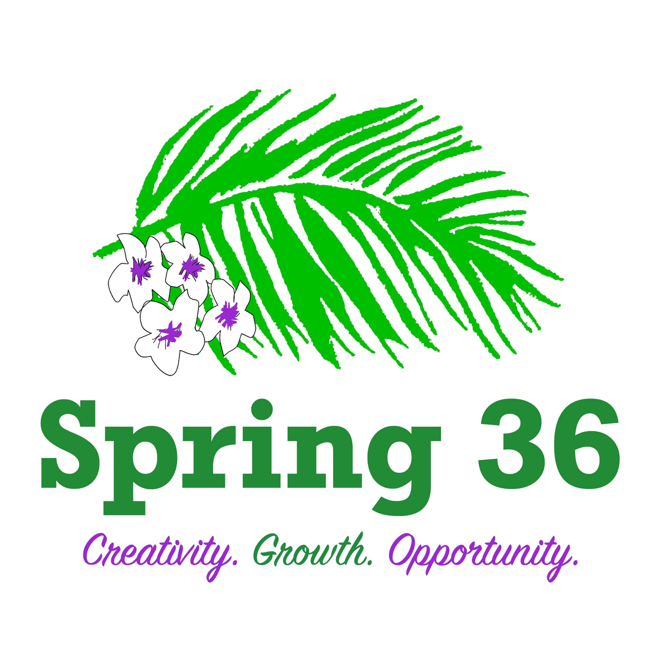Spring 36 - Video Production, Talent and Dance