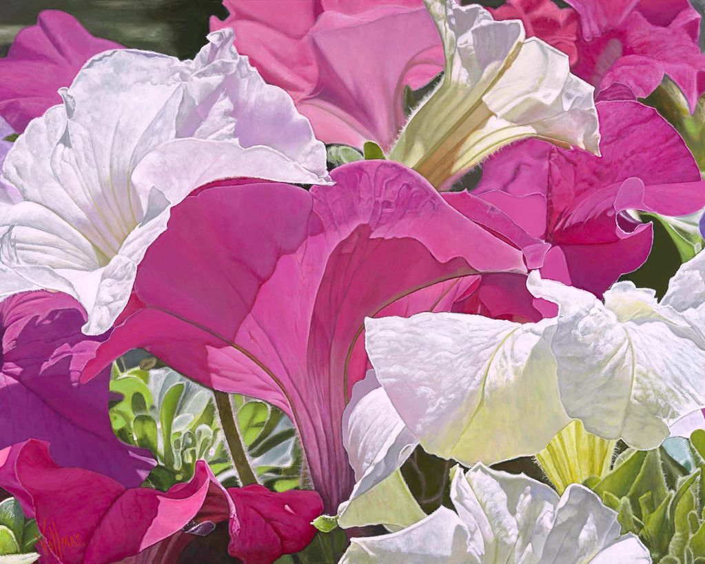 Petunia 48" x 60" Acrylic on Canvas