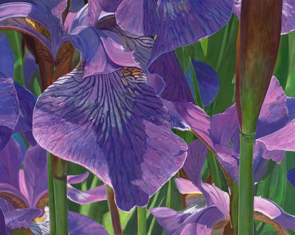 Iris 48" x 60" Acrylic on Canvas